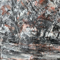 Autumn at the Weir