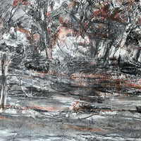 Autumn at the Weir