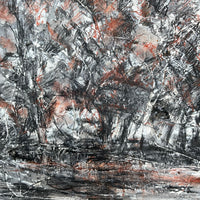 Autumn at the Weir