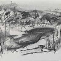“Winter at Sharpham Marsh”.