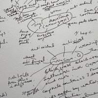 A Saltmarsh Collaboration