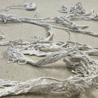 A Saltmarsh Collaboration