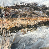 Midwinter Marsh