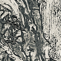 A Saltmarsh Collaboration