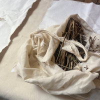 A Saltmarsh Collaboration