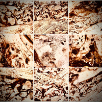 A Saltmarsh Collaboration