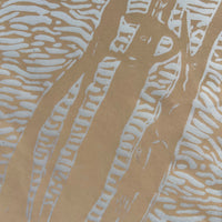 Reedbeds on Kozo