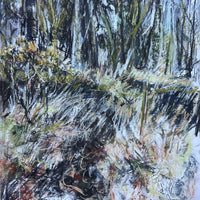 Primavera, Dartmoor.