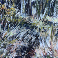 Primavera, Dartmoor.