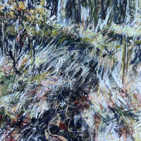 Primavera, Dartmoor.