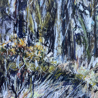 Primavera, Dartmoor.