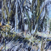 Primavera, Dartmoor.