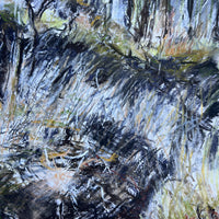 Woodland Kiss, Dartmoor.
