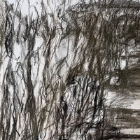 “Syrinx”.
