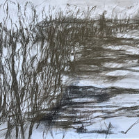 “Syrinx”.