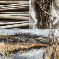 Midwinter Marsh