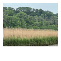 Glimpse across the Dart