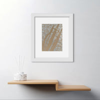 Reedbeds on Kozo