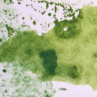 A Saltmarsh Collaboration