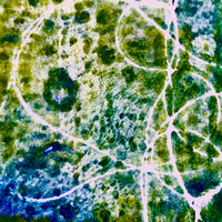 A Saltmarsh Collaboration