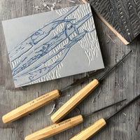 A Saltmarsh Collaboration