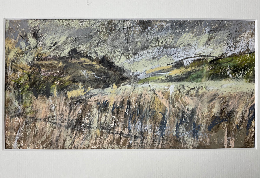 Sharpham Marsh No.2