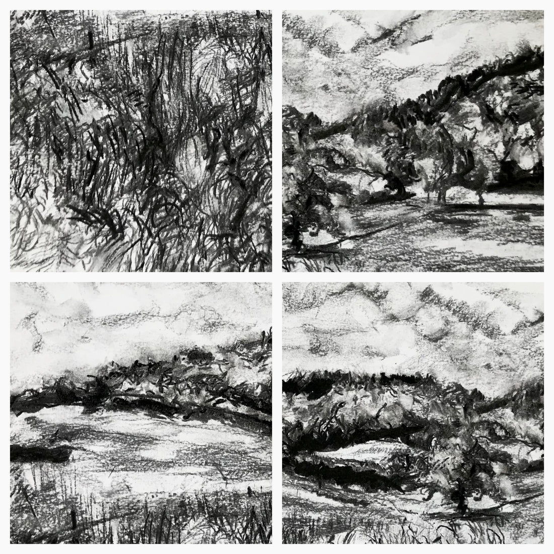 “Summer Meadows at Canonteign”.