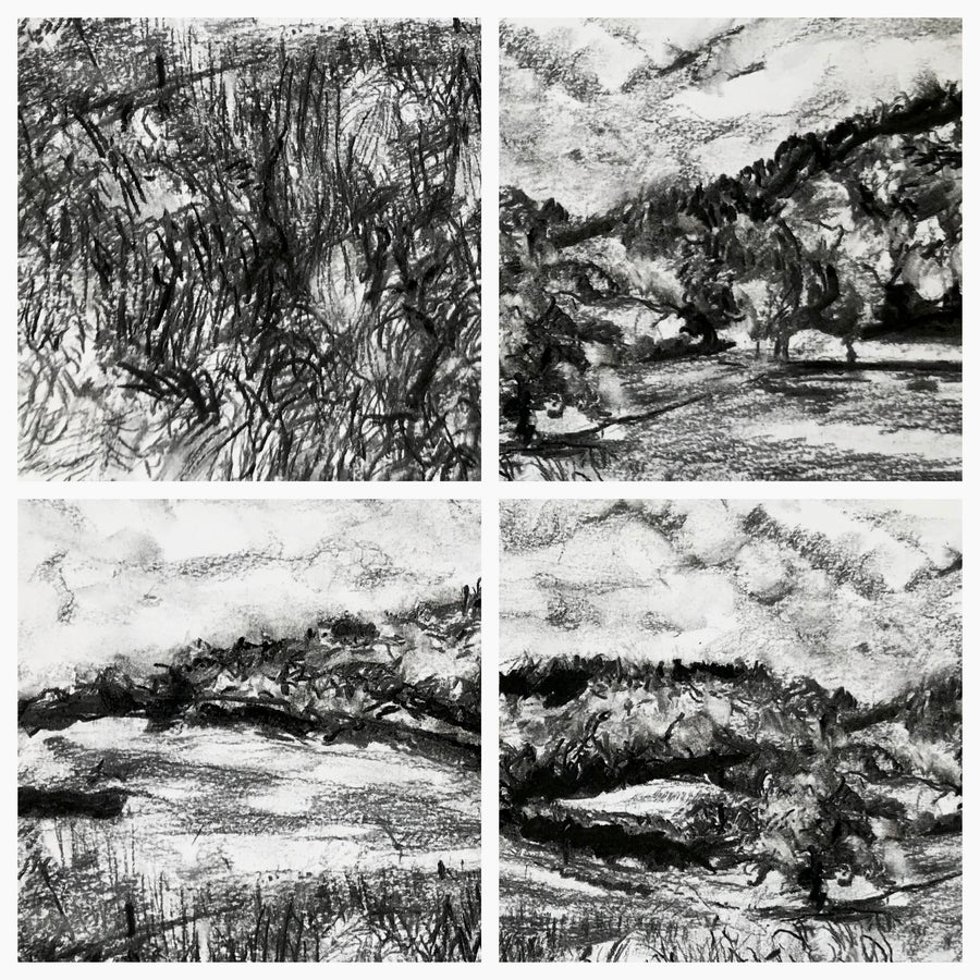 “Summer Meadows at Canonteign”.