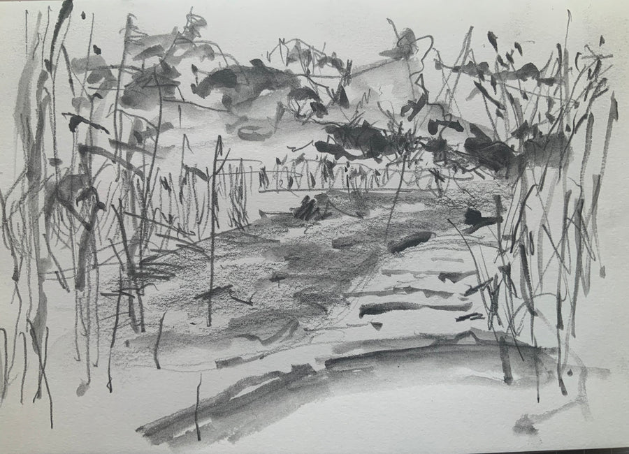 “Winter at Sharpham Marsh”.