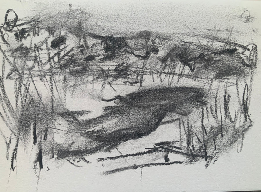 “Winter at Sharpham Marsh”.