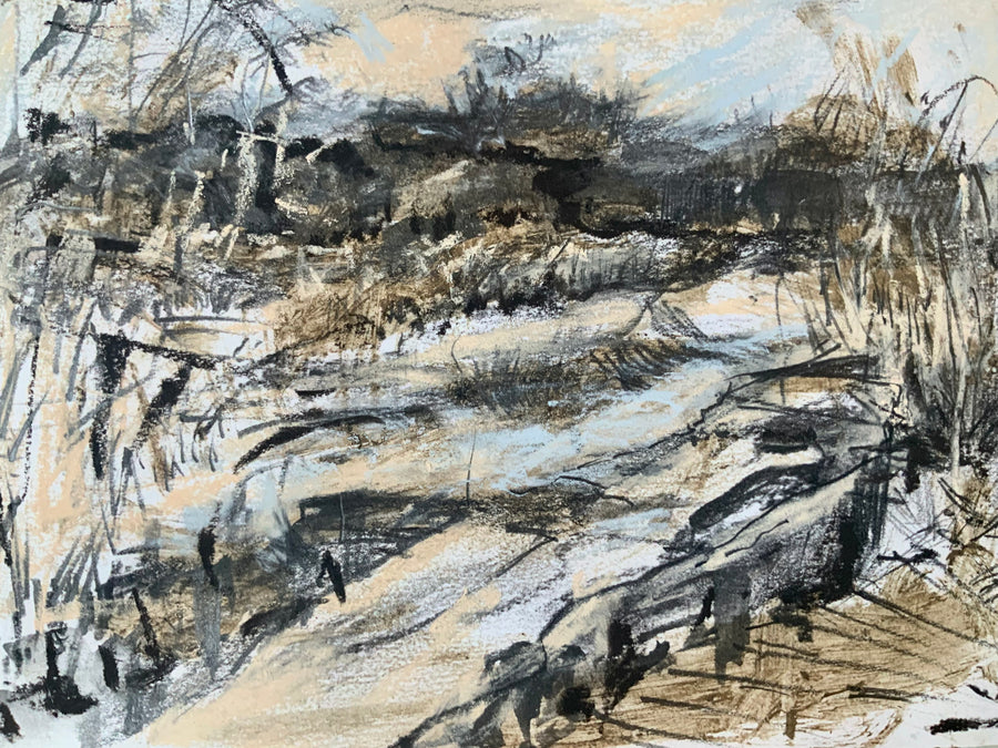 A Saltmarsh Collaboration