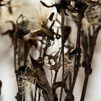 A Saltmarsh Collaboration