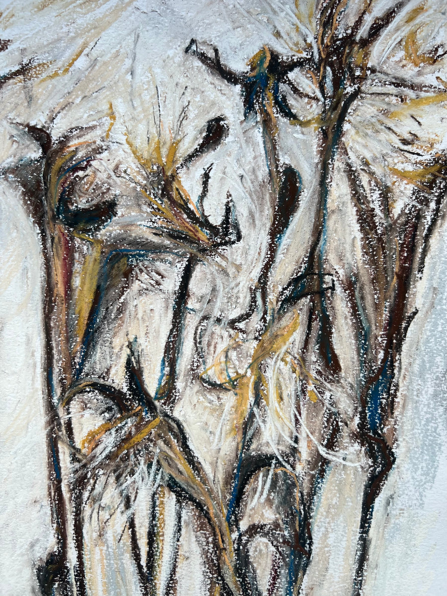 A Saltmarsh Collaboration