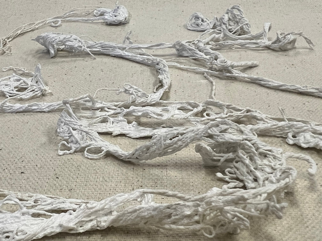 A Saltmarsh Collaboration