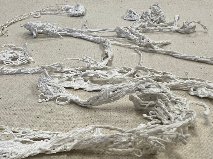 A Saltmarsh Collaboration