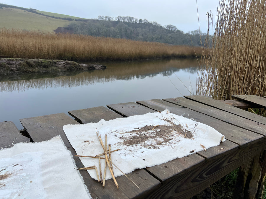 A Saltmarsh Collaboration