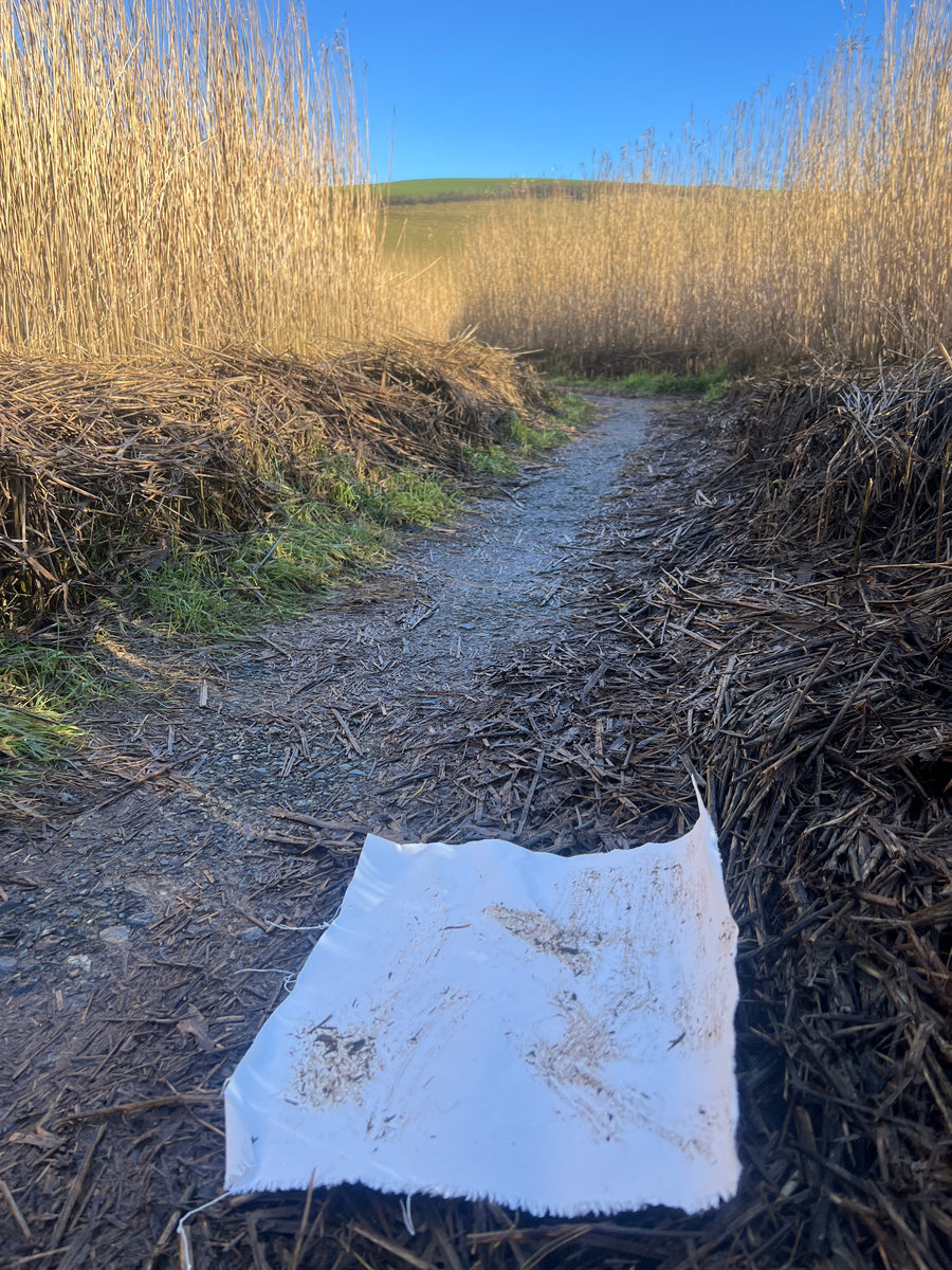 A Saltmarsh Collaboration