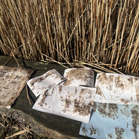 A Saltmarsh Collaboration