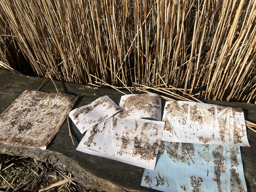 A Saltmarsh Collaboration