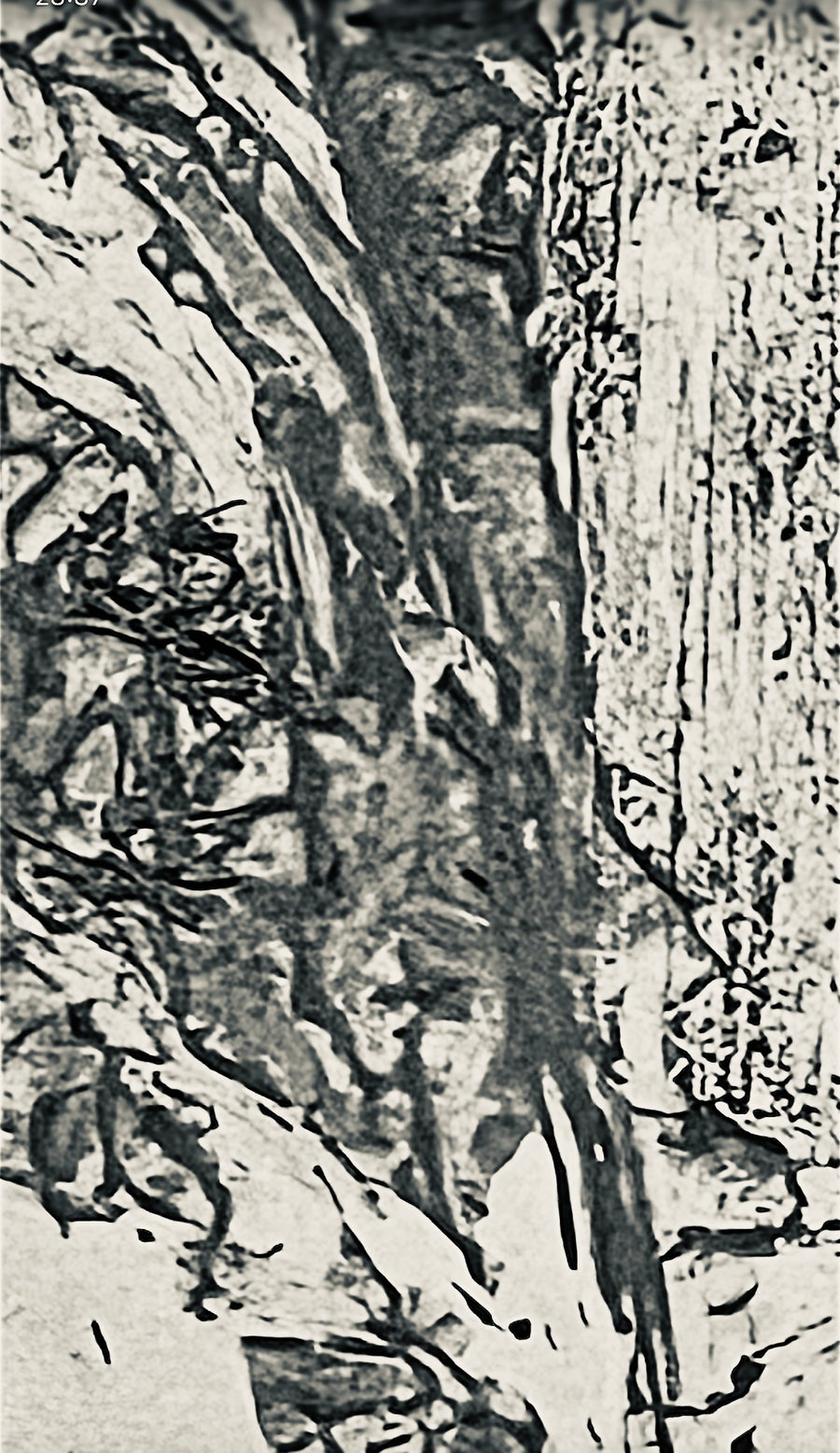 A Saltmarsh Collaboration