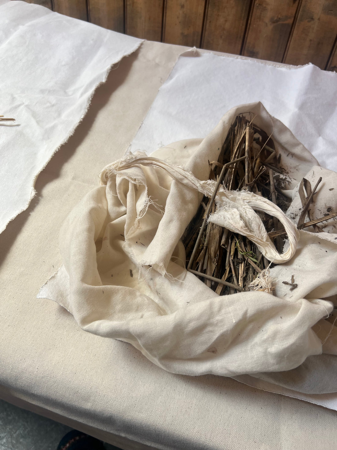 A Saltmarsh Collaboration