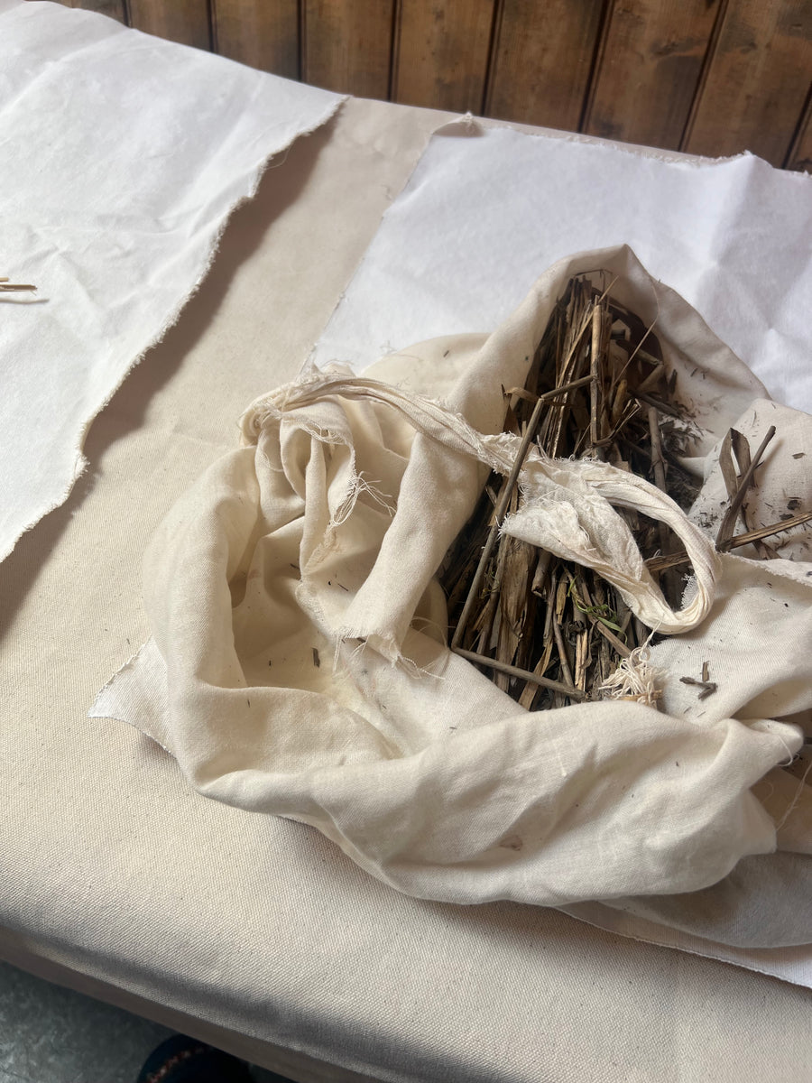 A Saltmarsh Collaboration