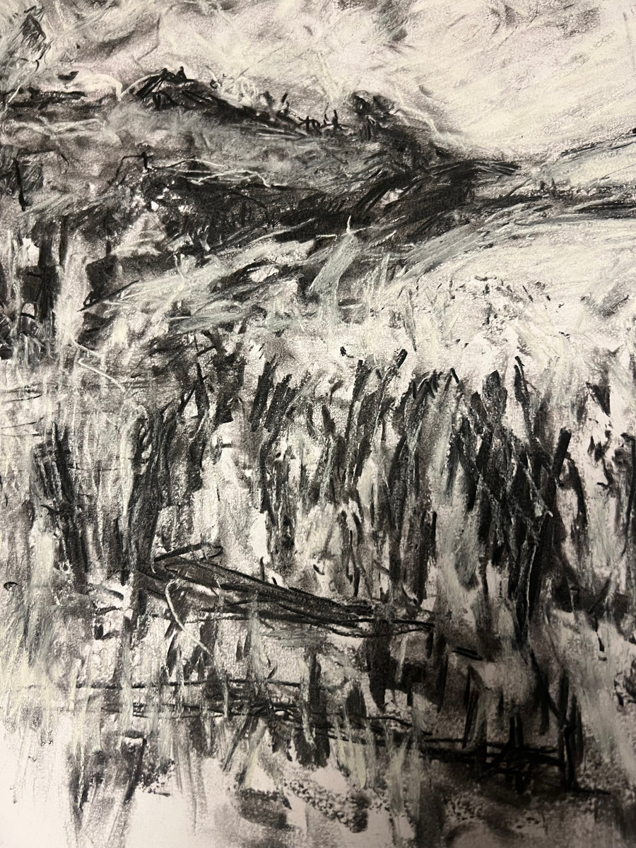 View from the Saltmarsh