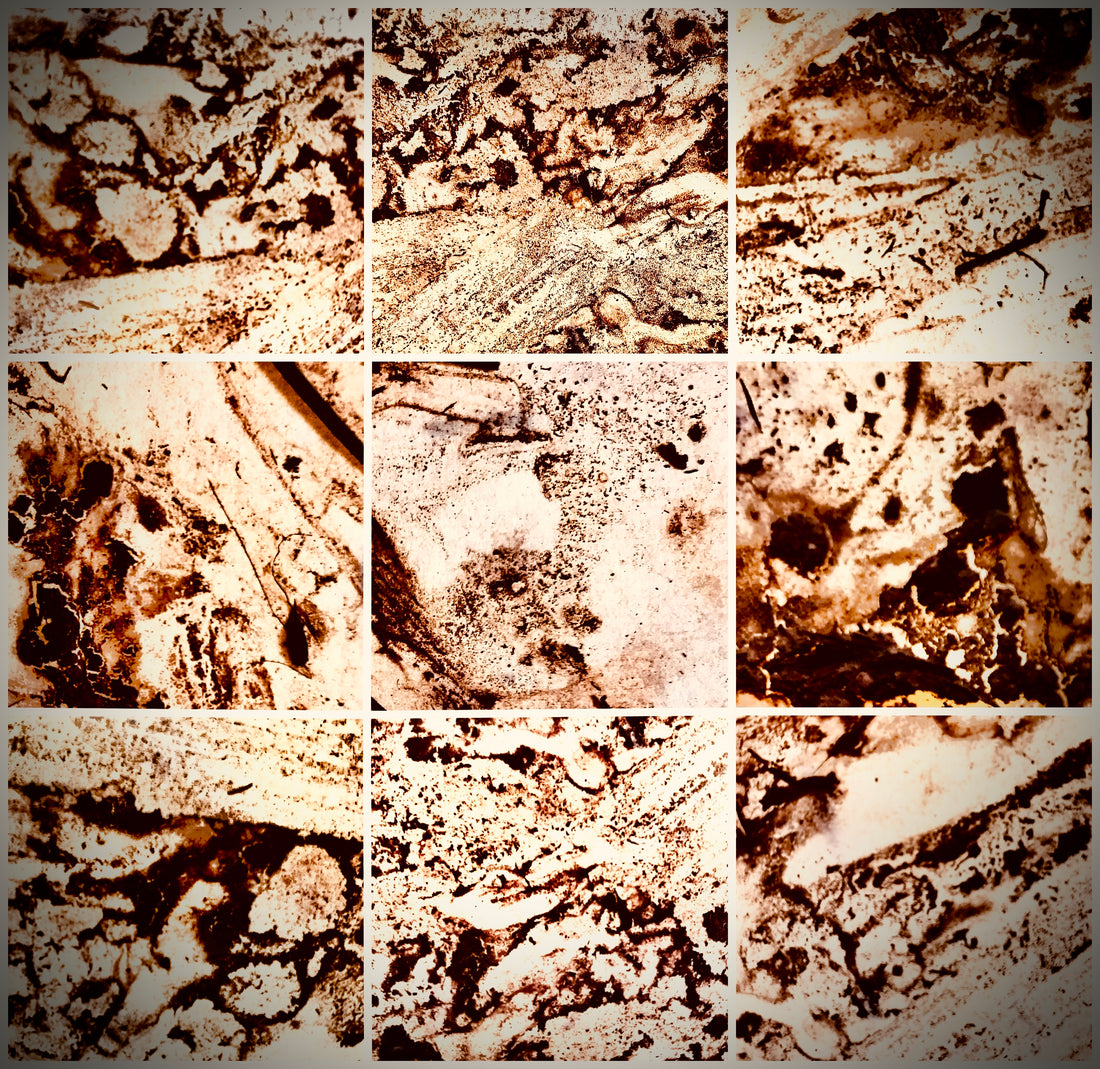 A Saltmarsh Collaboration