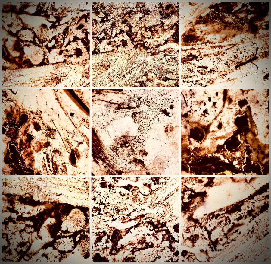 A Saltmarsh Collaboration