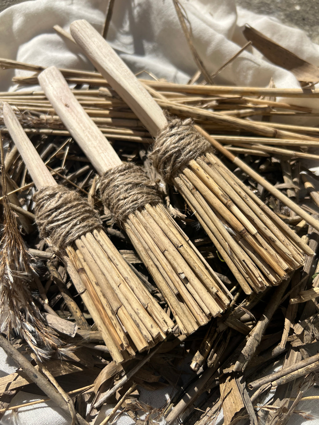 A Saltmarsh Collaboration