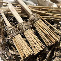 A Saltmarsh Collaboration