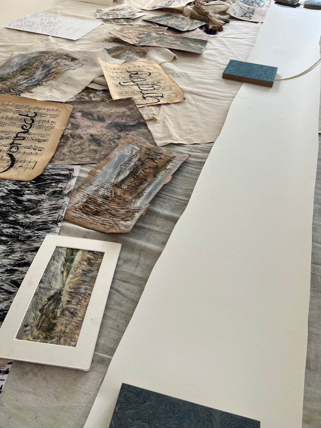 A Saltmarsh Collaboration