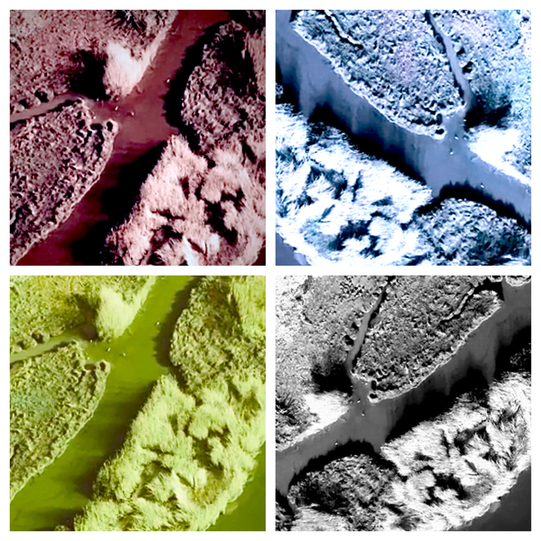 A Saltmarsh Collaboration