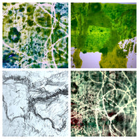 A Saltmarsh Collaboration